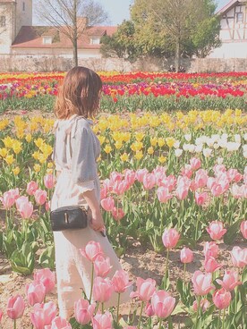 ももさんさんのコーディネート