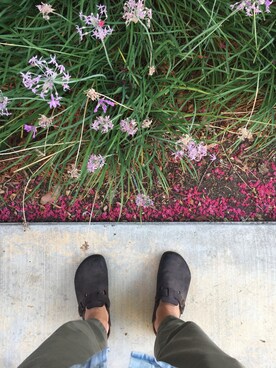 haenakiさんのコーディネート