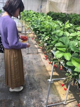 ayaさん（レディース・161cm）の夏コーディネート