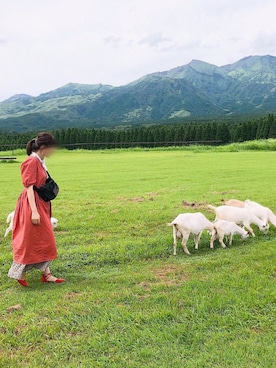 donnaさんのコーディネート