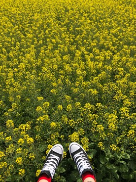 xixiさんのコーディネート