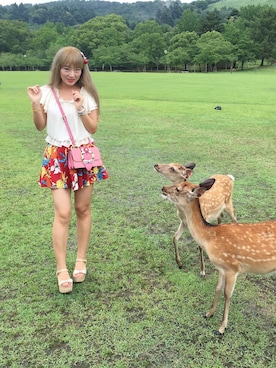 奶茶小公主さんのコーディネート