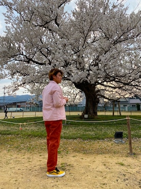 TAIGA  さんのコーディネート