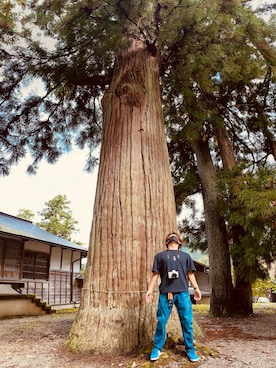 TAIGA  さんのコーディネート