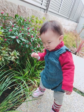 Ochoさんのコーディネート