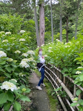 papikoさんのコーディネート