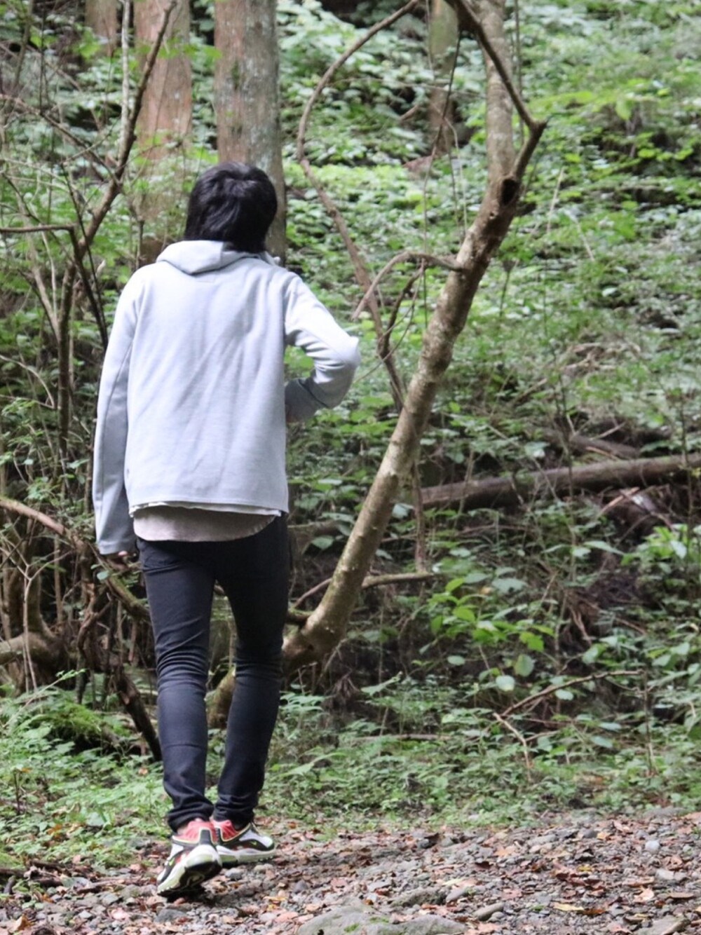 「秋コーデ、シンプル、おしゃれさんと繋がりたい」｜「DESCENTE ALLTERRAINの【DESCENTE ALLTERRAIN】WIND SHIELD HOODIE JACKET（パーカー、グレー系）」を使った、totoroさん（メンズ・182cm）の秋コーディネートの1枚目の写真
