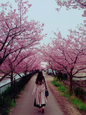 kannyaさん（レディース・159cm）の春コーディネート