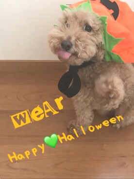 🔺SHIJU🔺さんのコーディネート