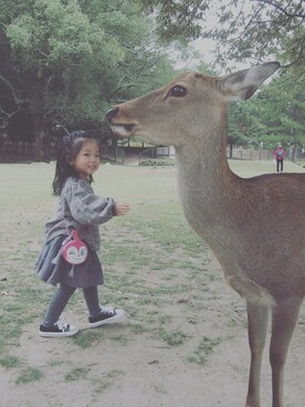 Alicebabyさんのコーディネート