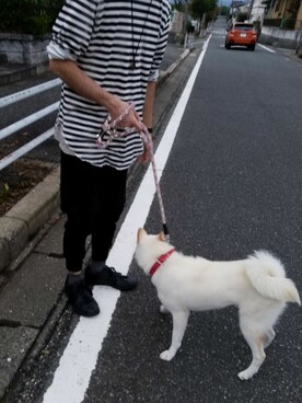 「お散歩」｜「アイテム（その他）」を使った、kzkbirdさん（メンズ・172cm）の夏コーディネート