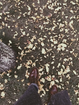 红楼叹さんのコーディネート