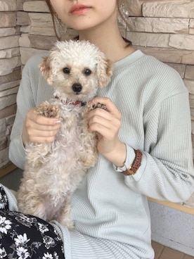 みさかさん（レディース・158cm）の春コーディネート