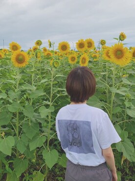 おたさんのコーディネート