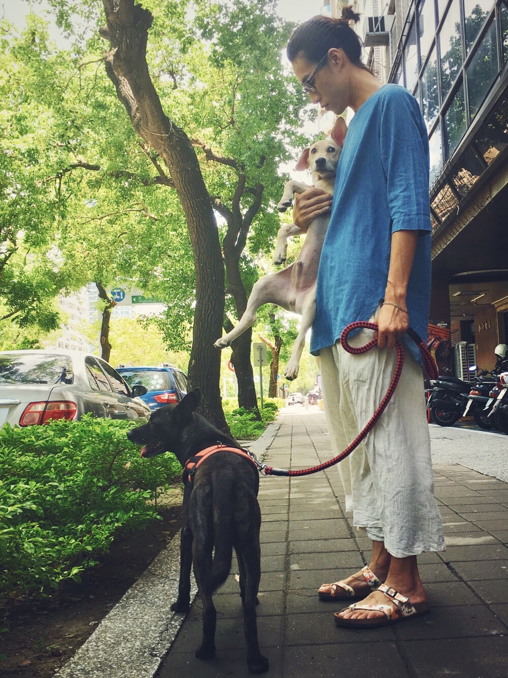 「新犬のアイテム（福袋/福箱、ベージュ系）」を使った、ilichuさん（メンズ・185cm）の夏コーディネートの1枚目の写真