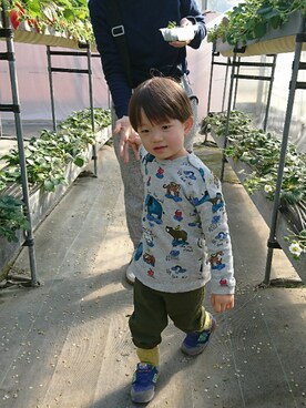 こんぺいさんのコーディネート