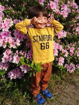 こんぺいさんのコーディネート