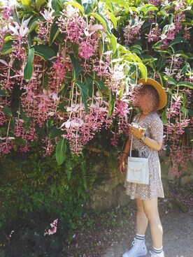 riさんのコーディネート