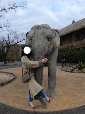 aynさんのコーディネート