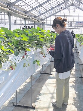 「RETRO GIRL（レトロガール）のタックセミフレアパンツ（その他パンツ）」を使った、ぽし☺︎さん（レディース・159cm）の春コーディネート