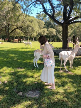 路思琪さんのコーディネート