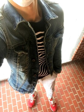 芝犬さんのコーディネート