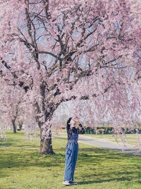 katsuさん(レディース・162cm)の春コーディネート