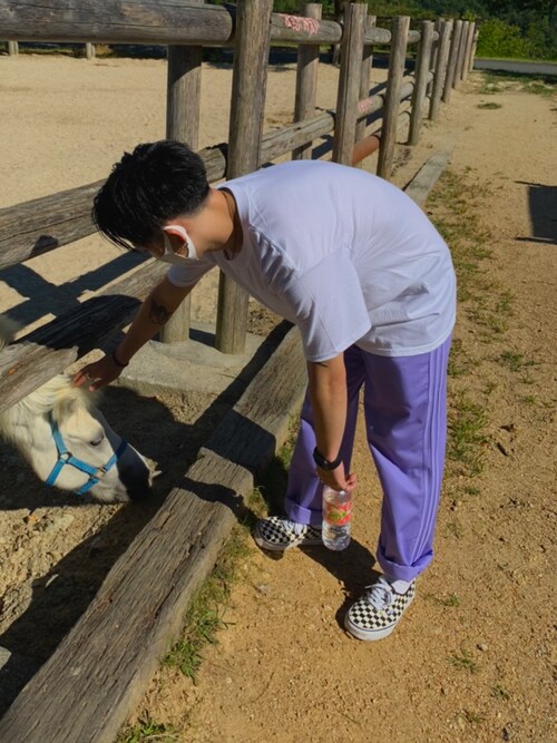 ★adidas originals★NICE CHINO PANTS チノパンツ★追跡可 楽天市場】アディダス adidas パンツ メンズ チノ オリジナルス