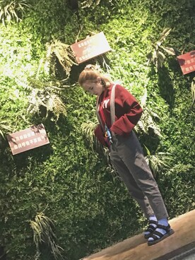 艾童姥姥さんのコーディネート