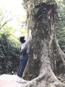 サトさんのコーディネート