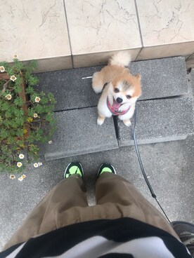 Machaさんのコーディネート