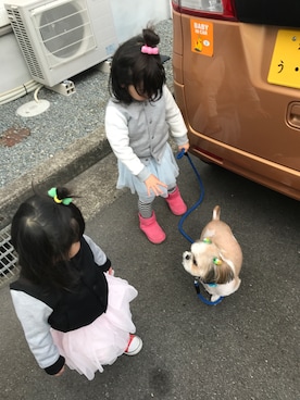 たぬきさんのコーディネート