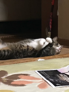 TAMAさんのコーディネート