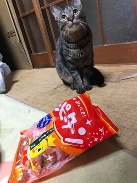 TAMAさんのコーディネート