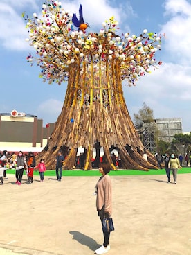 Fi Fi Liuさんのコーディネート