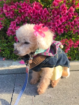 なつさんのコーディネート