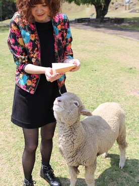 crystalさんのコーディネート