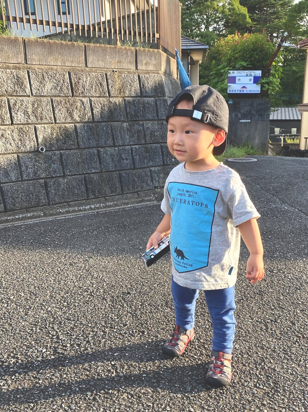 「おとこのこ、1歳3ヶ月、保育園コーデ」｜「BREEZEのシルエットプリント恐竜Tシャツ（Tシャツ/カットソー、グレー系）」を使った、pooh❁¨̮sukeさん（キッズ・80cm）の夏コーディネートの1枚目の写真