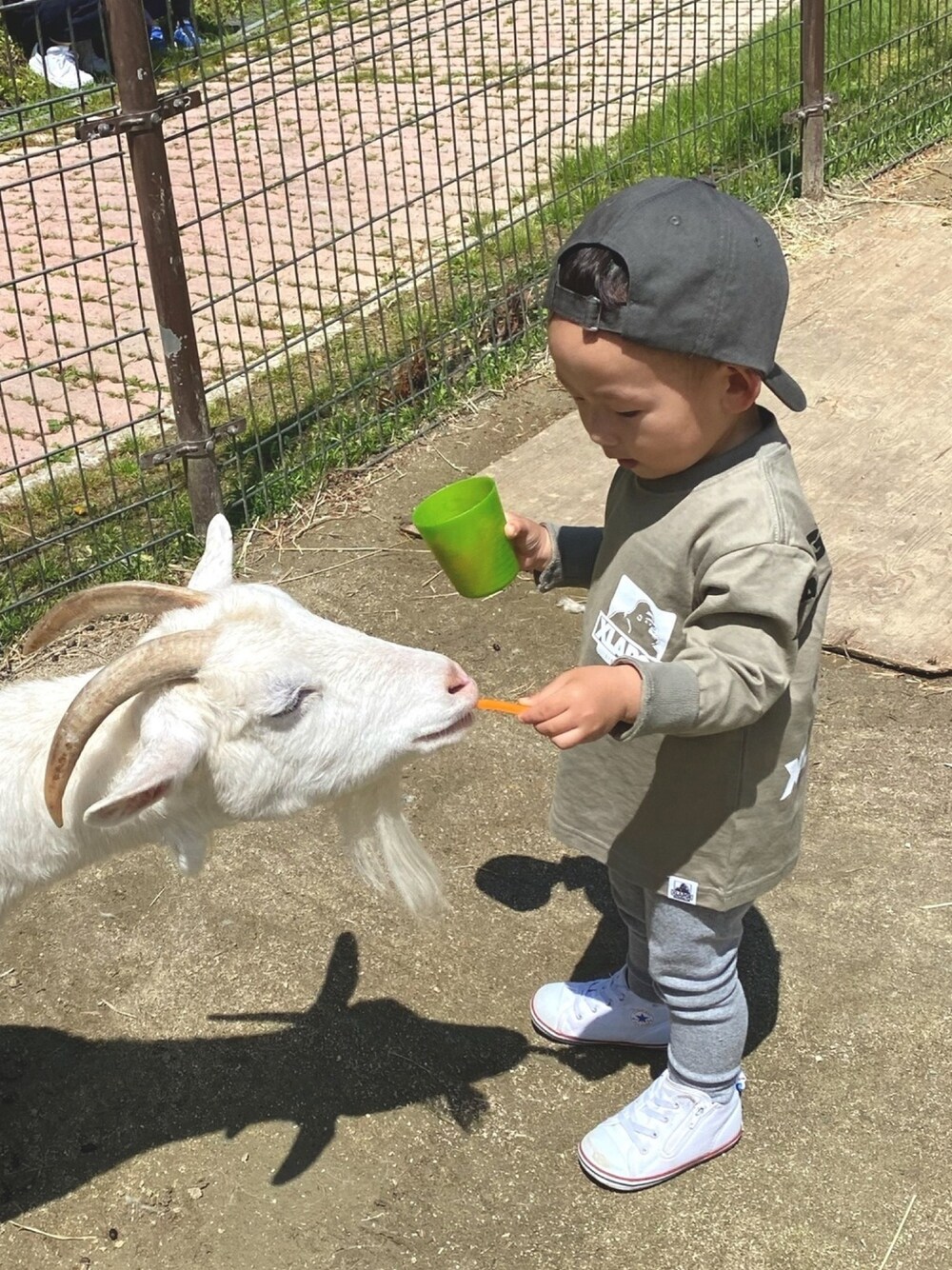 「おとこのこ、2歳1ヶ月、休日コーデ、おでかけコーデ、ピクニカ共和国、スペシャルＧＷ」｜「XLARGE KIDSのスランテッドOGゴリラ刺しゅう6パネルキャップ（キャップ、グレー系）」を使った、pooh❁¨̮sukeさん（キッズ・90cm）の春コーディネートの1枚目の写真