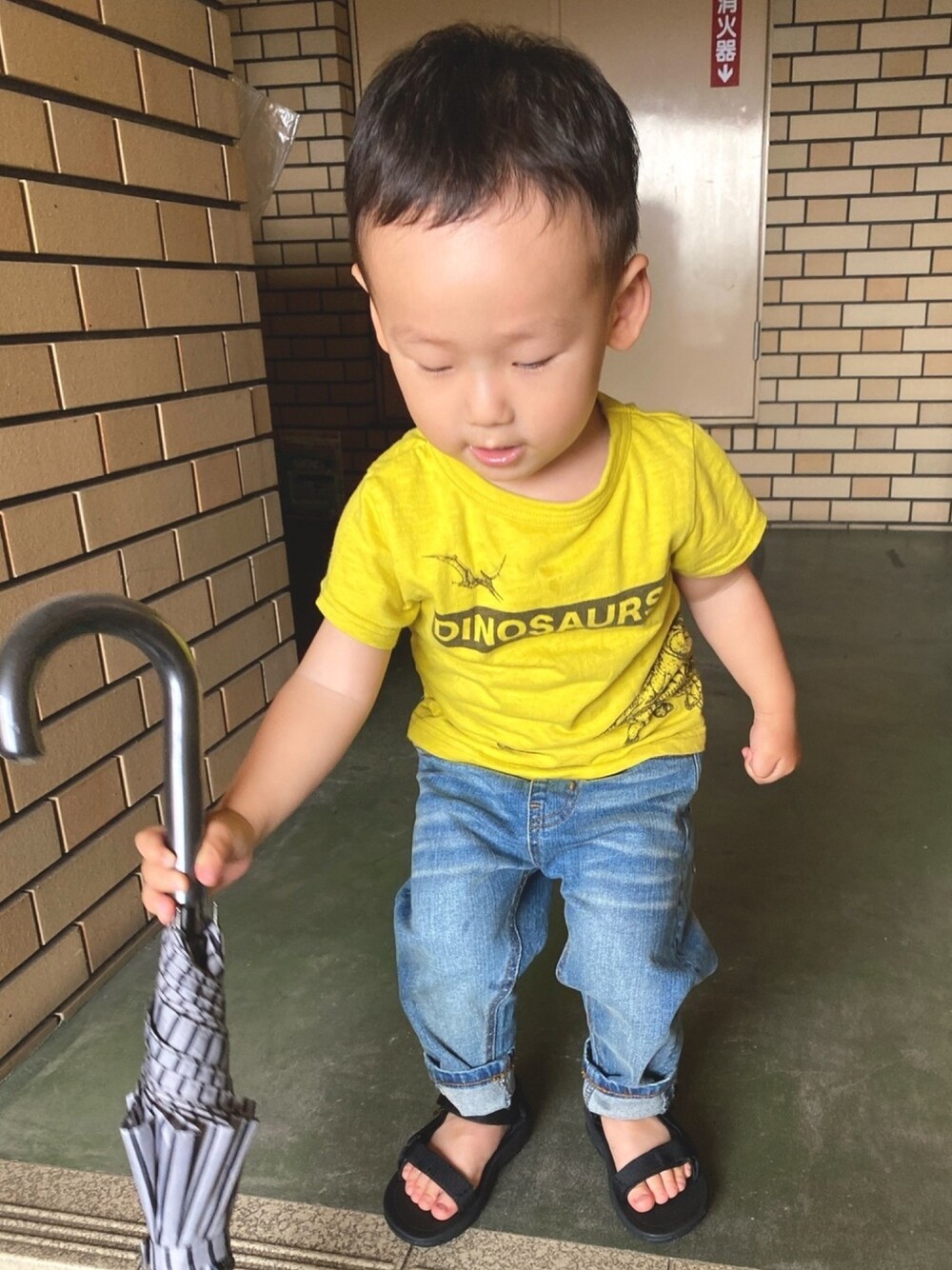 「おとこのこ、2歳1ヶ月、休日コーデ、ママと息子」｜「BREEZEの点描プリント恐竜Tシャツ（Tシャツ/カットソー、イエロー系）」を使った、pooh❁¨̮sukeさん（キッズ・90cm）の春コーディネートの1枚目の写真