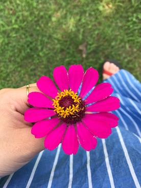 n.さん（レディース・151cm）の夏コーディネート