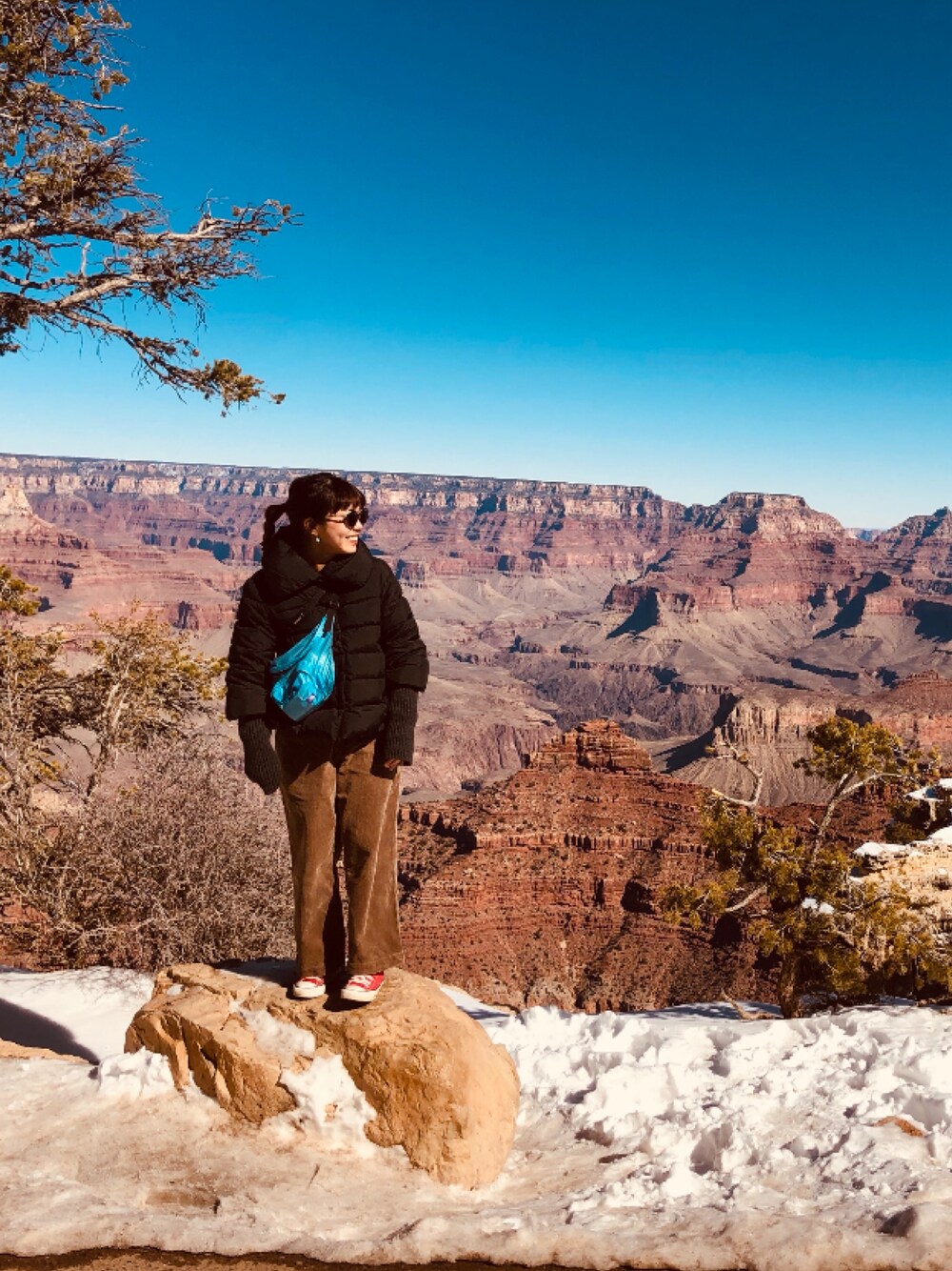 TATRAS（タトラス）の「TATRAS(タトラス）COLMA LTA20A4696（ダウン