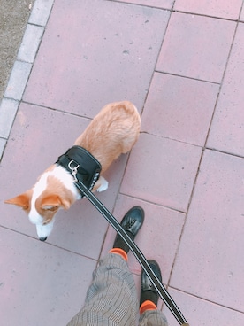 ☺︎さん（レディース・168cm）の冬コーディネート