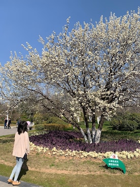 ☺︎さん（レディース・168cm）の春コーディネート