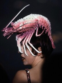 PHILIP TREACY | 帽子