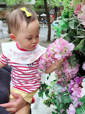 Aki多多さんのコーディネート