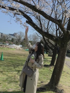 椎名さんのコーディネート