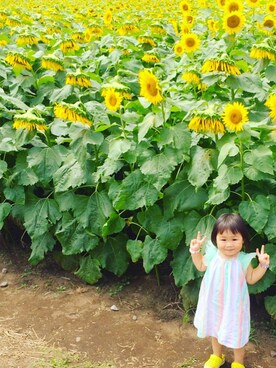 acoricoさんのコーディネート