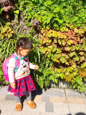 acoricoさんのコーディネート