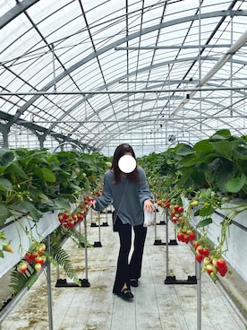 Ariさんのコーディネート